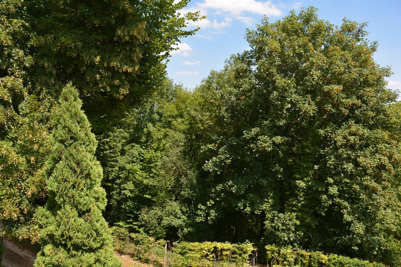 Hermitage St Roch Arc-en-Barrois Buitenkant foto